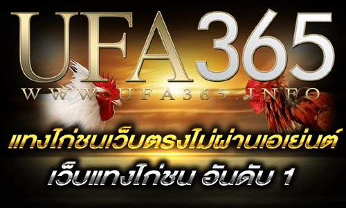 แทงไก่ชนเว็บตรงไม่ผ่านเอเย่นต์