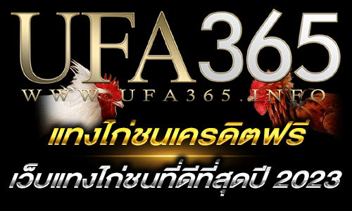 แทงไก่ชนเครดิตฟรี