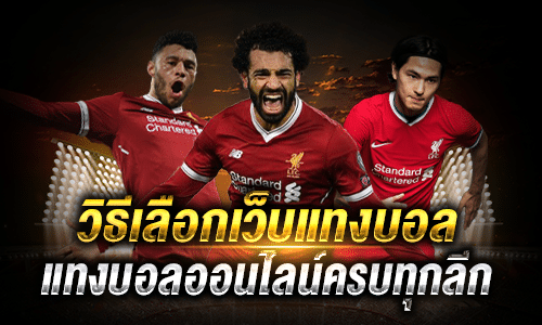 วิธีเลือกเว็บแทงบอล