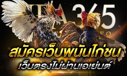 สมัครเว็บพนันไก่ชน