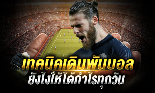 เทคนิคแทงบอลทำกำไรทุกวัน