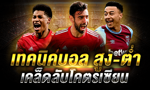เทคนิคแทงบอล สูง-ต่ำ