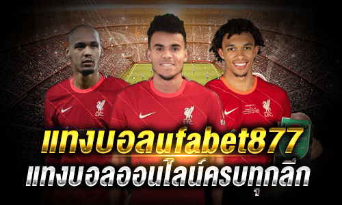 แทงบอลufabet877
