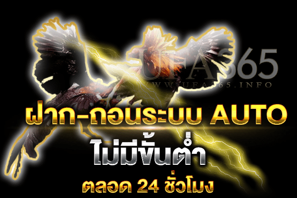 แทงไก่ชนออนไลน์
