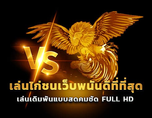 ไก่ชนออนไลน์ขั้นต่ำ10บาท